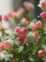 Rustic Elegance Blush & Coral Rose Artificial Flower Arrangement realistic artificial flower arrangement – product view 3