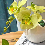Sunlit Phalaenopsis Artificial Flower Arrangement realistic artificial flower arrangement – product view 4