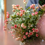 Rustic Elegance Blush & Coral Rose Artificial Flower Arrangement realistic artificial flower arrangement – product view 5