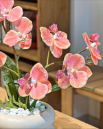 Soft Coral Pink Phalaenopsis Artificial Flower Arrangement realistic artificial flower arrangement – product view 2