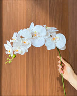 Elegant White Phalaenopsis Faux Orchid Stem realistic artificial flower arrangement – product view 7