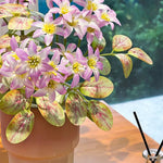 Pastel Jasmine Cluster Artificial Flower Arrangement realistic artificial flower arrangement – product view 4